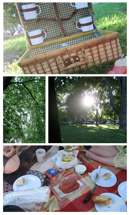 PICNIC